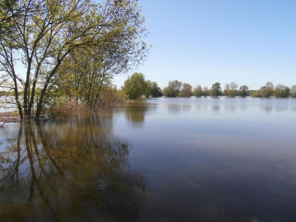 فندق Dompierre-sur-Charenteفي  Chateau Sainte Marie المظهر الخارجي الصورة