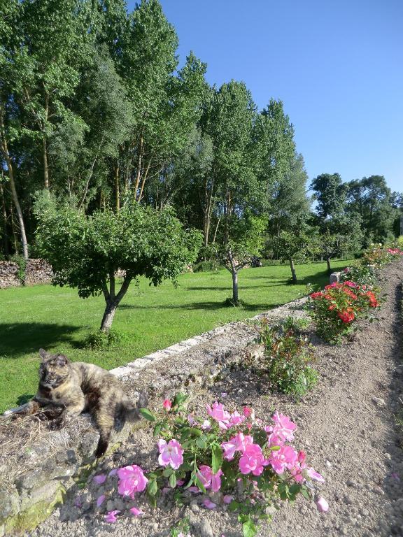 فندق Dompierre-sur-Charenteفي  Chateau Sainte Marie المظهر الخارجي الصورة